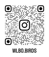 WLBO.BIRDS