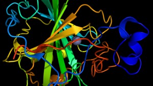 Carbonic anhydrase