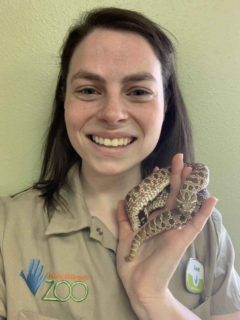 A graduate of West Liberty's Zoology Master's Program holds a snake