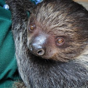 Masters in Biology Jobs: Careers for Masters in Biology