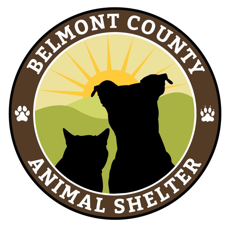 Students Team Up to Rebrand Belmont County Animal Shelter - WLU: News ...