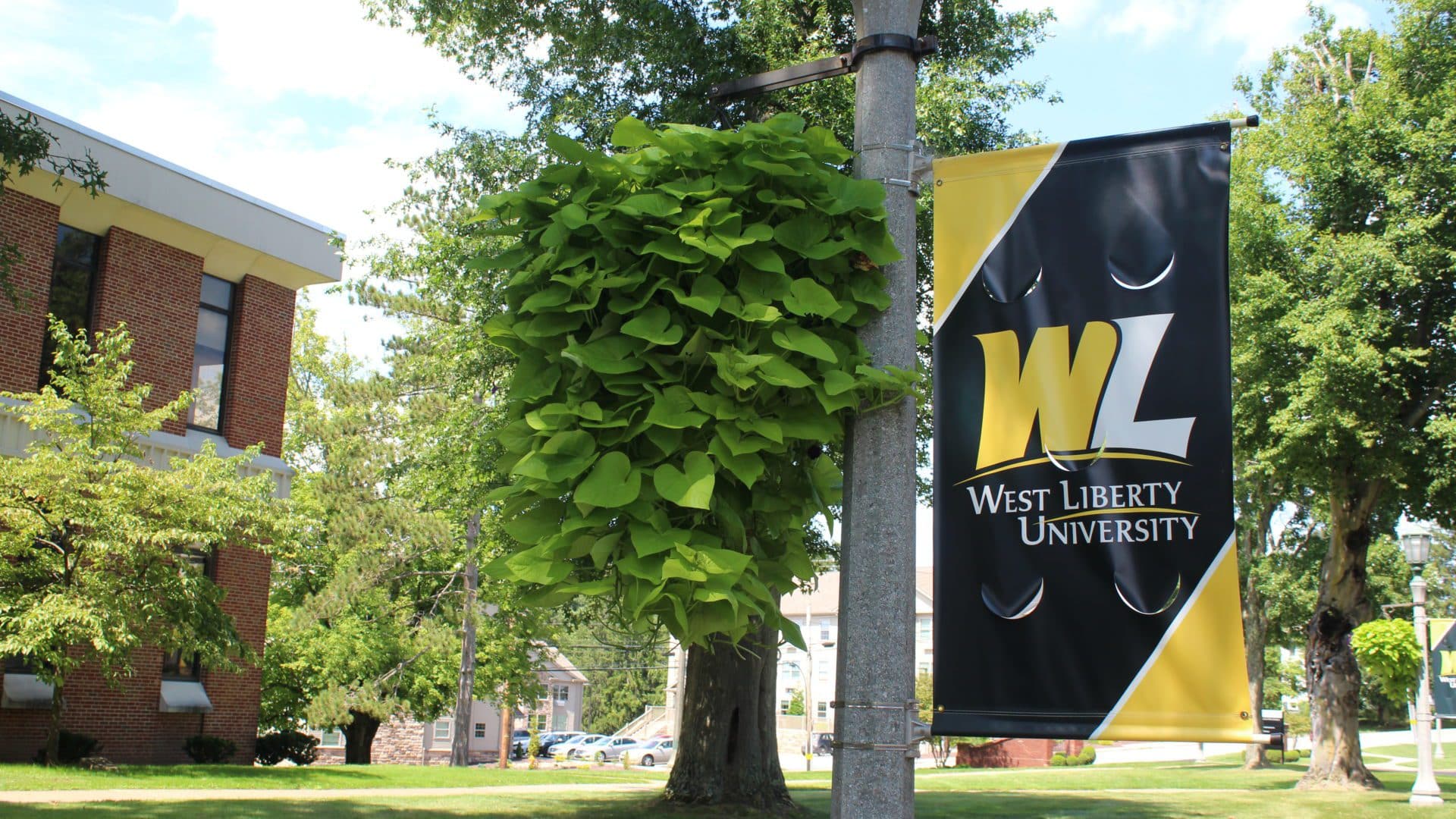 WLU Student Lindsey Morais Elected to National Role