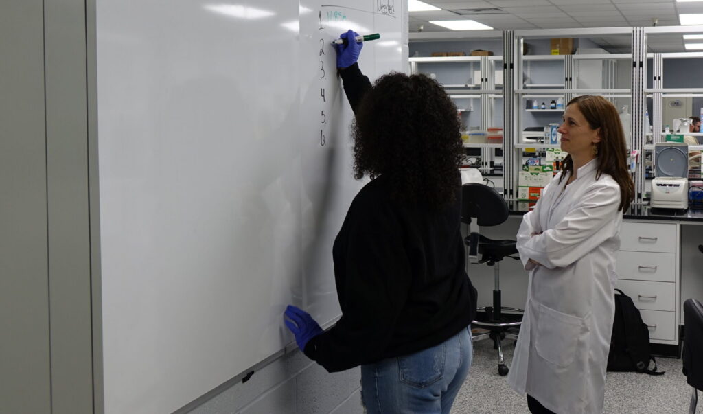 lab whiteboard instruction