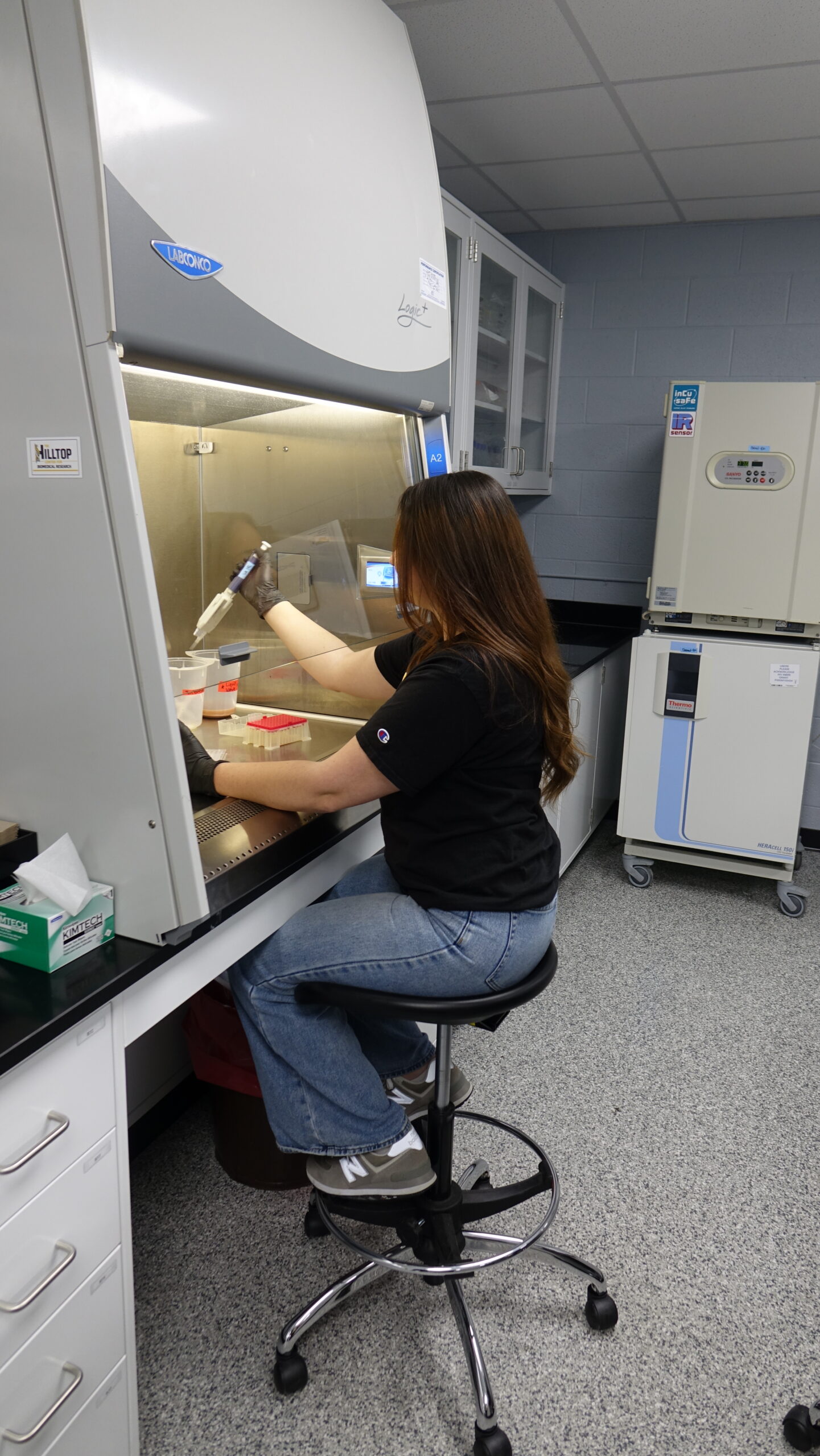 pipetting at biosafety cabinet